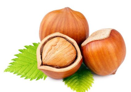 ما هي فوائد تناول المرأة الحامل للبندق؟