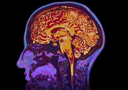 دراسة: حالات التهاب الدماغ تحدث بسبب فيروس ينقله الحيوان