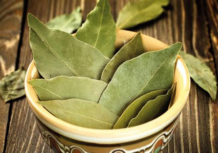 ما هي الأمراض التي يمكن علاجها باستخدام أوراق الجوافة ؟