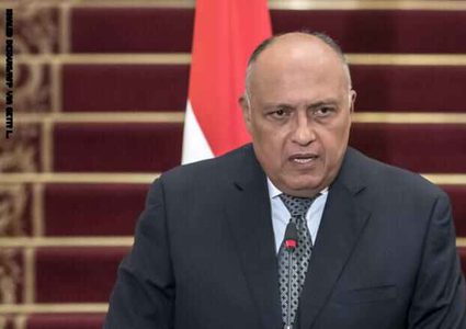 لقاء مصري جزائري لحل الازمة الليبية