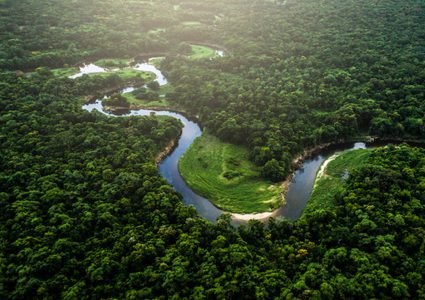 العثور على طفلة برازيلية تاهت في غابات الأمازون لأيام