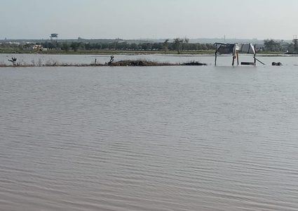 الاحتلال يغرق المحاصيل الزراعية شرق غزة