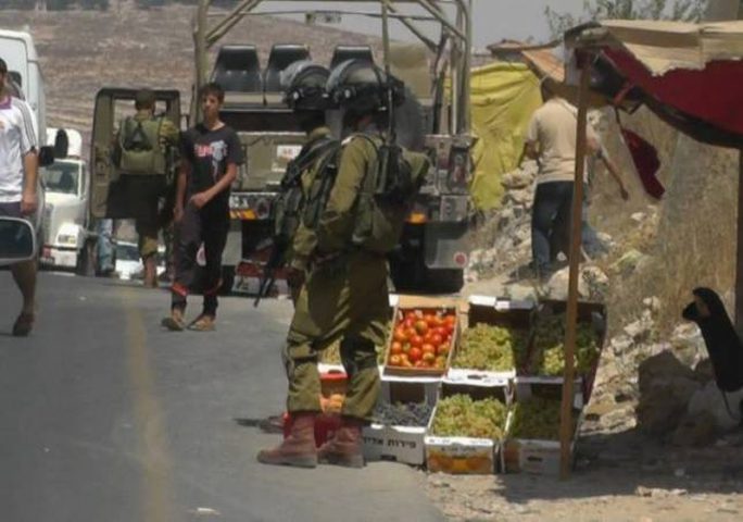 الاحتلال يتلف بسطات الباعة جنوب الخليل
