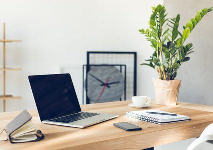 دراسة: النباتات المكتبية تقلل من الإجهاد خلال العمل