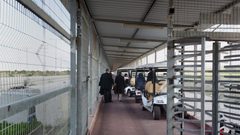 الاحتلال يقرر زيادة عدد التجار والعمال الغزيين في إسرائيل