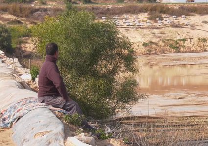 خسائر فادحة يتكبدها المزارعون في غزة إثر المنخفضات الجوية