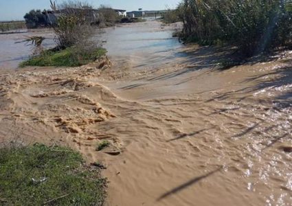 الخارجية :استهداف الأراضي الزراعية حلقة من حلقات العدوان على غزة
