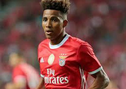 توتنهام يضم جيدسون فرنانديز