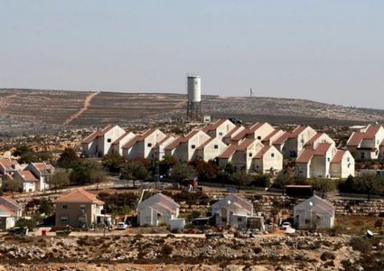 مستوطنون ينصبون أعمدة كهرباء في الأغوار الشمالية