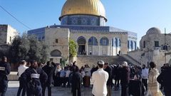 مستوطنون يقتحمون المسجد الأقصى