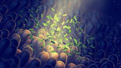 بكتيريا الأمعاء تحميك من الإصابة بشلل الرعاش