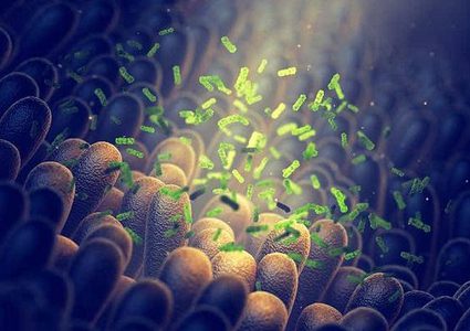 بكتيريا الأمعاء تحميك من الإصابة بشلل الرعاش