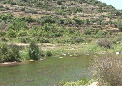 الاحتلال يعلن عن 7 "محميات طبيعية" استيطانية في الضفة