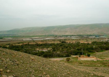 الزراعة:الاحتلال يعمل على فرض أمر واقع بالسيطرة على آلاف الدونمات