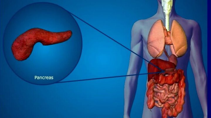 أعراض رئيسية لالتهاب وأمراض البنكرياس