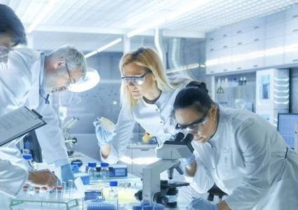 باحثون ينجحون في "تخليق جنين" حيوان شبة منقرض