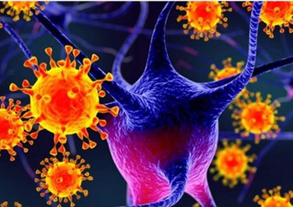 اليابان تعلن وقوع أول إصابة بالفيروس الغامض