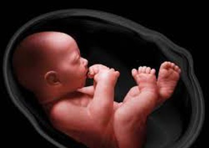 دراسة صادمة تحذر من شعور الجنين بالألم خلال عملية الإجهاض !