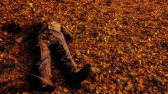 القبض على قاتل بالوراثة