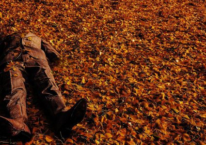 القبض على قاتل بالوراثة