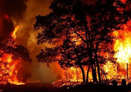 وأخيرا.. إكتشاف فائدة مفاجئة لحرائق غابات أستراليا