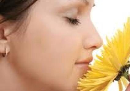 فقدان حاسة الشم هل يؤدي الى الموت؟