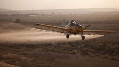 ما هي قيمة خسائر مزارعي غزة نتيجة رش الاحتلال مزروعاتهم؟