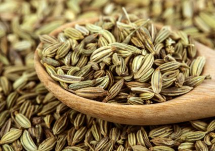 تعرف على فوائد بذور الشمر