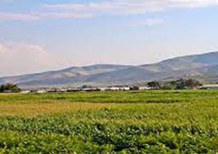 إطلاق حملة وطنية لمساندة الأغوار