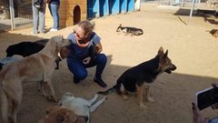 أحمد السقا يستجيب لحملة شيرين رضا للرفق بالحيوان