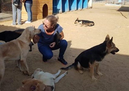 أحمد السقا يستجيب لحملة شيرين رضا للرفق بالحيوان