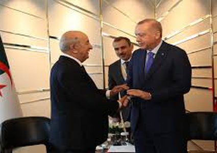أردوغان يؤكد حرص بلاده على أمن الجزائر واستقرارها