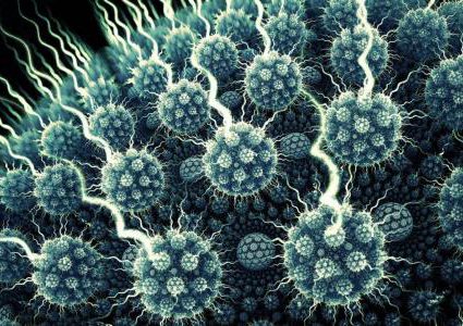 أخطر 5 فيروسات هزمت العالم في العقد الأخير