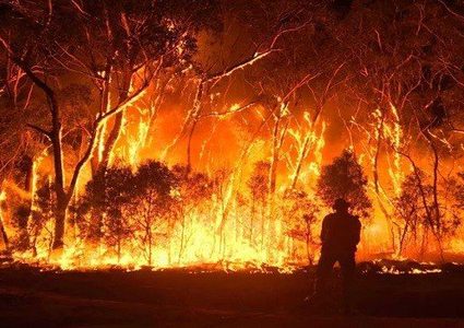 أستراليا تواجه موجة حر ورياح عاتية قد تسبب حرائق