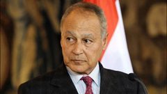 أبو الغيط: توقيت طرح "صفقة القرن" يثير الكثير من التساؤلات