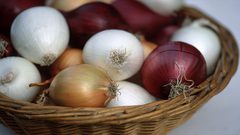 خطورة البصل المتعفن على الصحة