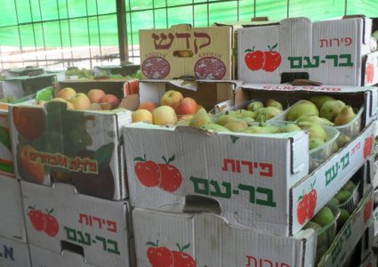 الزراعة: منع استيراد الخضار والمنتجات من إسرائيل بدءا من الخميس