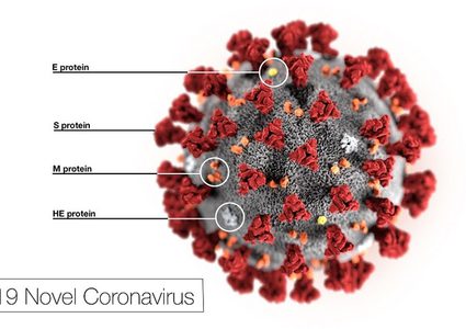 دواء عشبي صيني قد يكبح فيروس "كورونا"!
