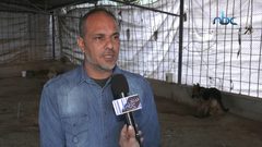 افتتاح أول مدرسة لتدريب الكلاب في قطاع غزة