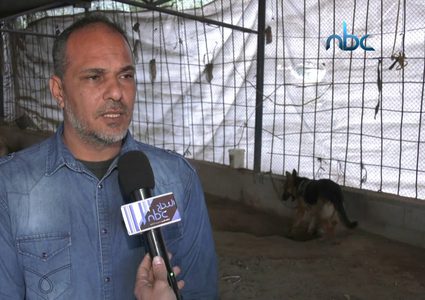افتتاح أول مدرسة لتدريب الكلاب في قطاع غزة