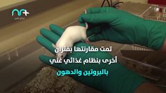 خطير .. حمية البروتين تؤذي القلب كيف ذلك؟