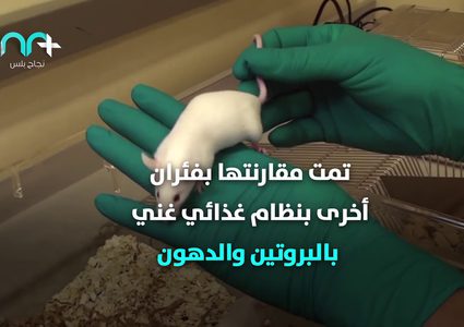 خطير .. حمية البروتين تؤذي القلب كيف ذلك؟