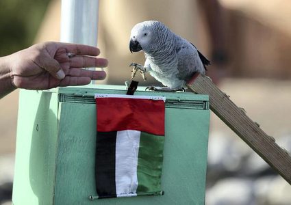 أبو ظبي.. شركة تدرب الطيور على التقاط القمامة