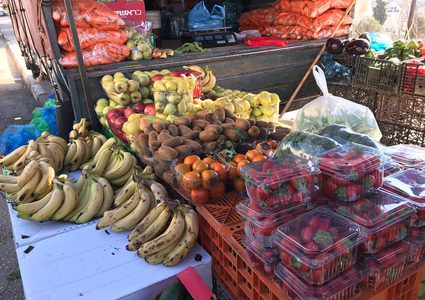 حكومة الاحتلال تمنع تصدير المنتجات الزراعية الفلسطينية إلى العالم