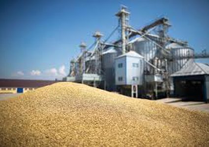 صادرات القمح الفرنسية تسجل ذروة الموسم