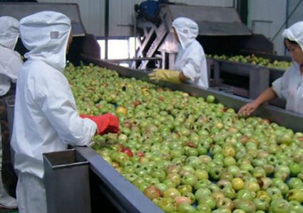 هل تنقل الأغذية المستوردة من الصين فيروس الكورونا ؟