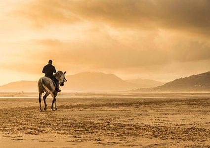 أستراليا.. محاكمة رجل بسبب استخدام هاتفه خلال ركوب الحصان