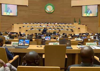 تحذيرات أممية وأفريقية من إرسال السلاح إلى ليبيا