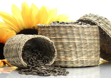 ما فائدة بذور عباد الشمس؟