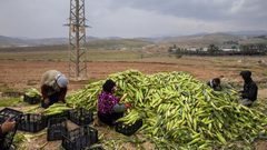 قرار بنيت حرب تجارية اسرائيلية على الاقتصاد الفلسطيني